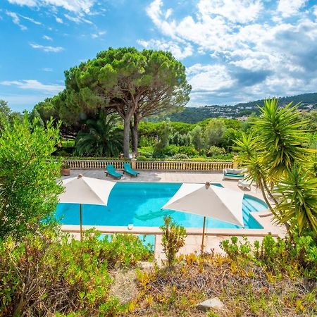 Paradis Provencal Sainte-Maxime Luaran gambar