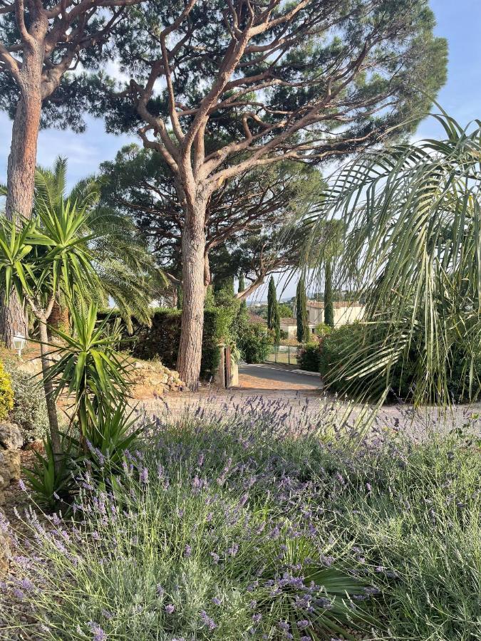 Paradis Provencal Sainte-Maxime Luaran gambar