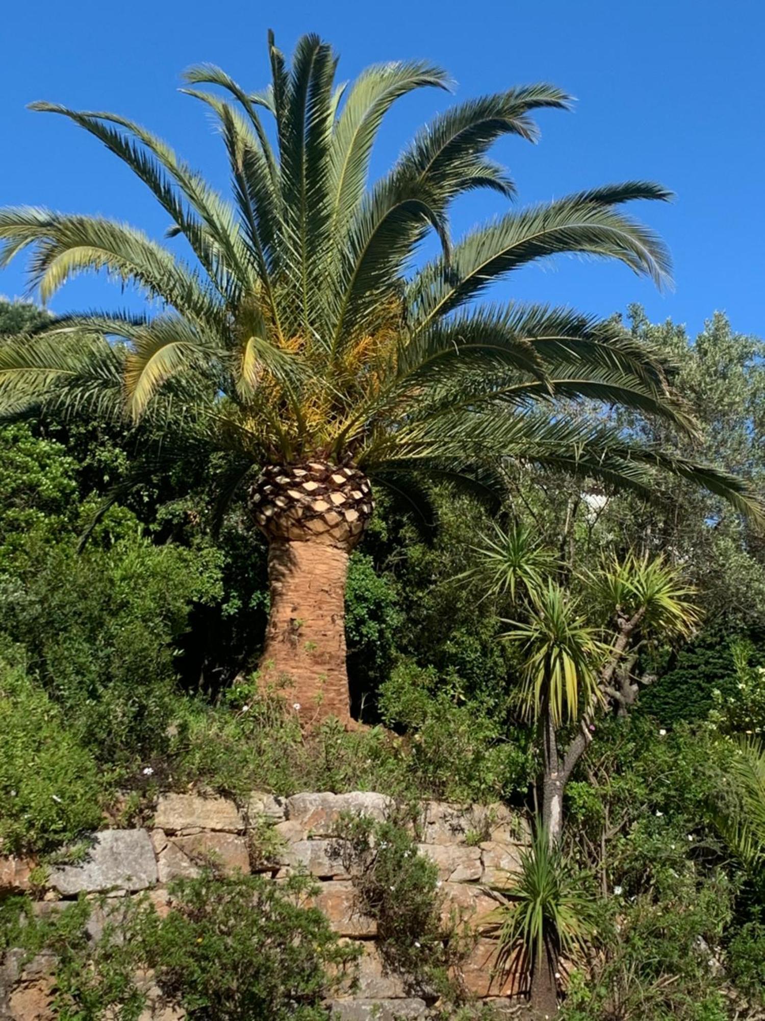 Paradis Provencal Sainte-Maxime Luaran gambar